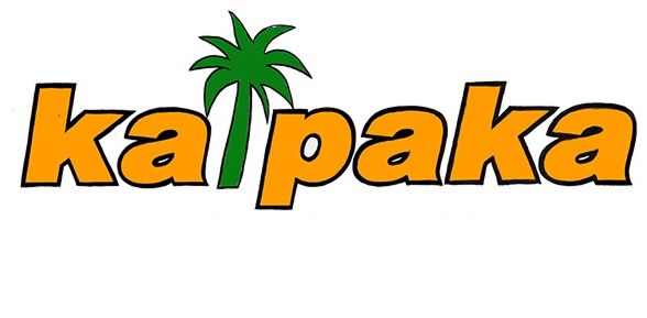 Logo 31